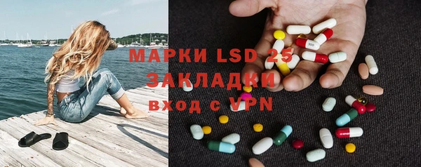 шишки Арсеньев